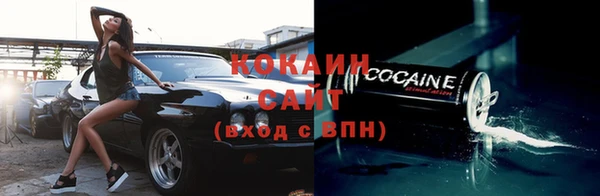 гашик Мегион