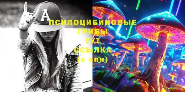 гашик Мегион