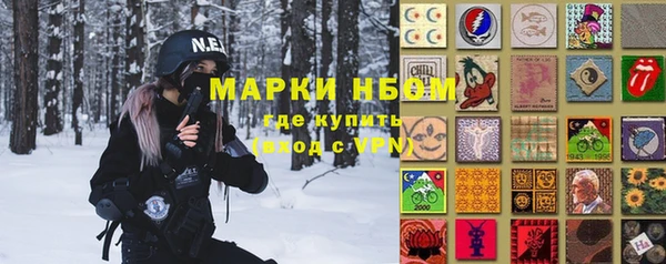 гашик Мегион