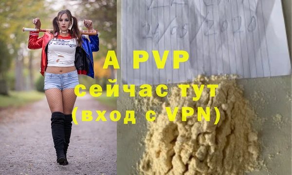 гашик Мегион