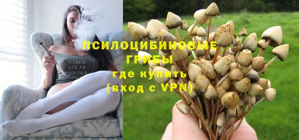 гашик Мегион