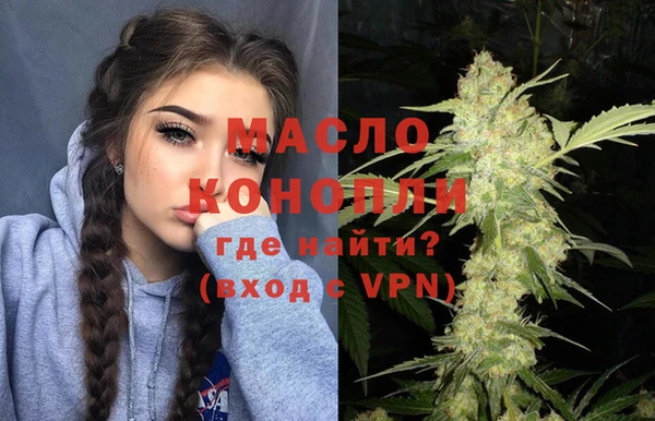 гашик Мегион