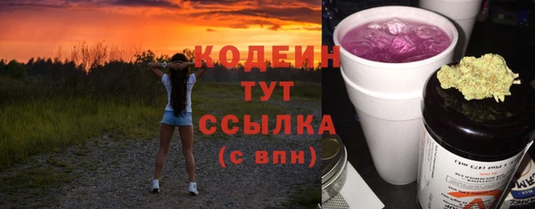 гашик Мегион
