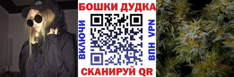 как найти закладки  Тырныауз  Бошки Шишки SATIVA & INDICA 